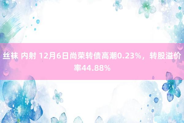 丝袜 内射 12月6日尚荣转债高潮0.23%，转股溢价率44.88%