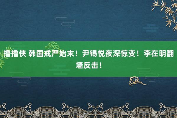 撸撸侠 韩国戒严始末！尹锡悦夜深惊变！李在明翻墙反击！