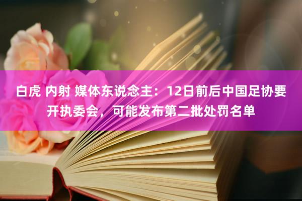 白虎 内射 媒体东说念主：12日前后中国足协要开执委会，可能发布第二批处罚名单