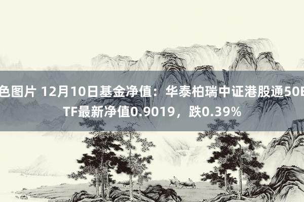 色图片 12月10日基金净值：华泰柏瑞中证港股通50ETF最新净值0.9019，跌0.39%