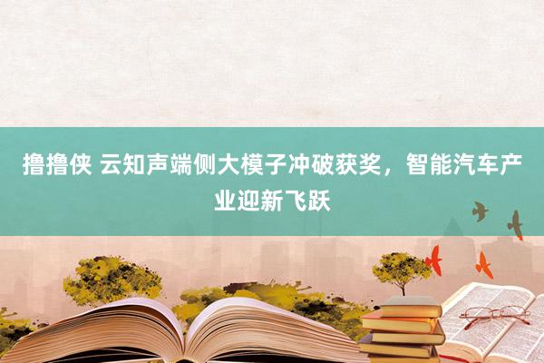 撸撸侠 云知声端侧大模子冲破获奖，智能汽车产业迎新飞跃