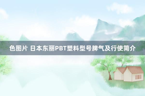 色图片 日本东丽PBT塑料型号脾气及行使简介