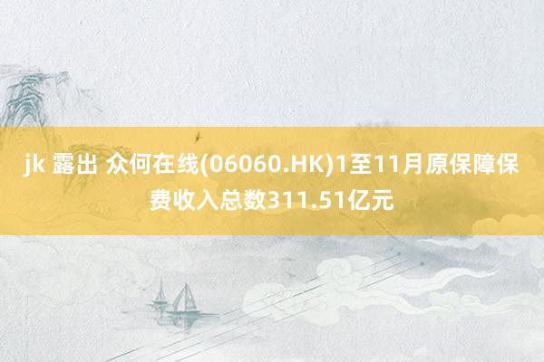 jk 露出 众何在线(06060.HK)1至11月原保障保费收入总数311.51亿元