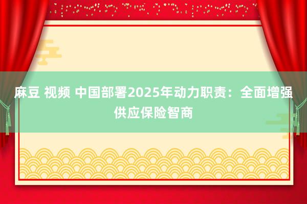 麻豆 视频 中国部署2025年动力职责：全面增强供应保险智商