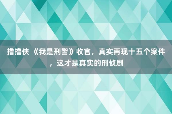 撸撸侠 《我是刑警》收官，真实再现十五个案件，这才是真实的刑侦剧