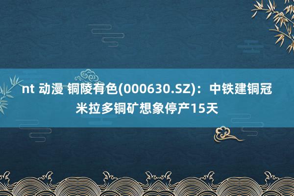 nt 动漫 铜陵有色(000630.SZ)：中铁建铜冠米拉多铜矿想象停产15天