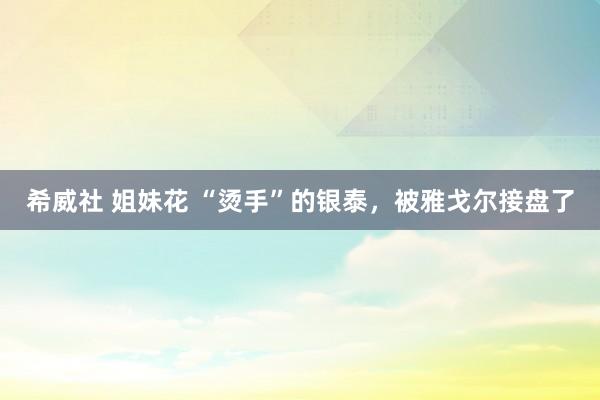 希威社 姐妹花 “烫手”的银泰，被雅戈尔接盘了