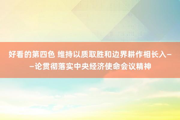 好看的第四色 维持以质取胜和边界耕作相长入——论贯彻落实中央经济使命会议精神