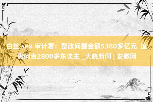 白丝 sex 审计署：整改问题金额5380多亿元  追责问责2800多东谈主 _大皖新闻 | 安徽网