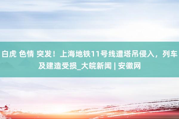 白虎 色情 突发！上海地铁11号线遭塔吊侵入，列车及建造受损_大皖新闻 | 安徽网