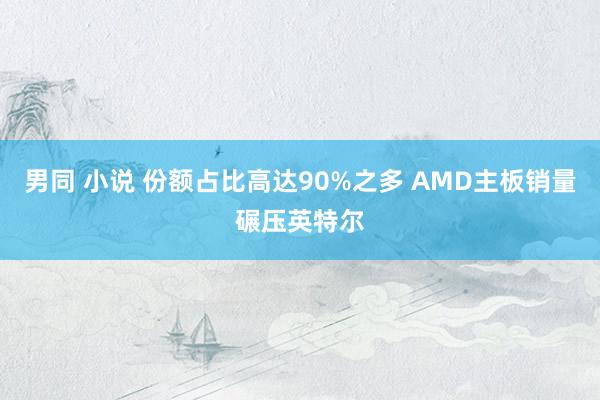 男同 小说 份额占比高达90%之多 AMD主板销量碾压英特尔