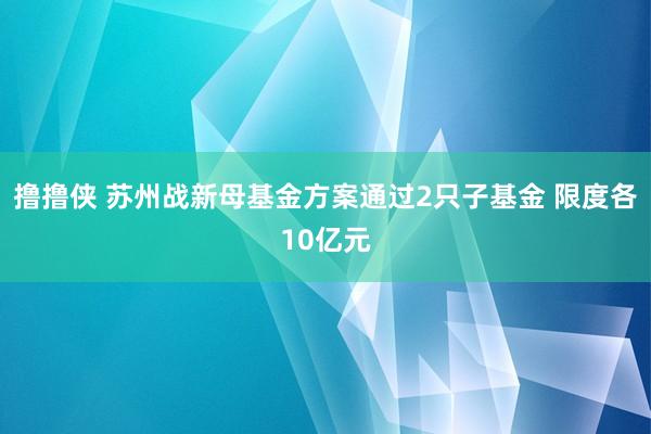 撸撸侠 苏州战新母基金方案通过2只子基金 限度各10亿元