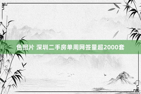 色图片 深圳二手房单周网签量超2000套