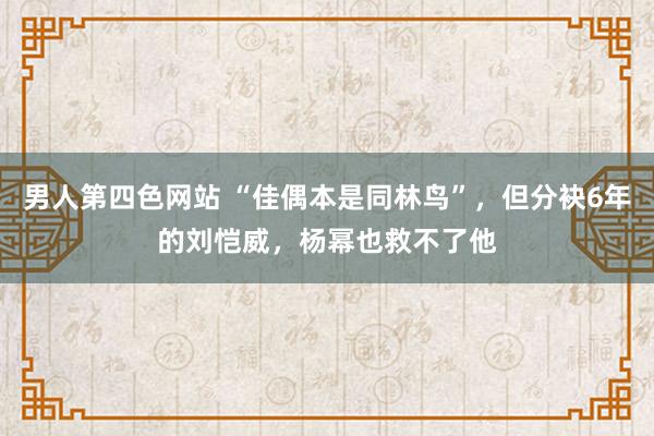 男人第四色网站 “佳偶本是同林鸟”，但分袂6年的刘恺威，杨幂也救不了他