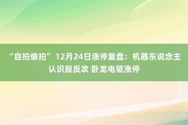 “自拍偷拍” 12月24日涨停复盘：机器东说念主认识股反攻 卧龙电驱涨停