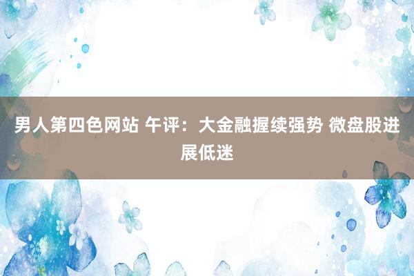 男人第四色网站 午评：大金融握续强势 微盘股进展低迷