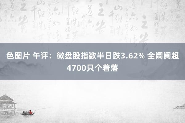 色图片 午评：微盘股指数半日跌3.62% 全阛阓超4700只个着落