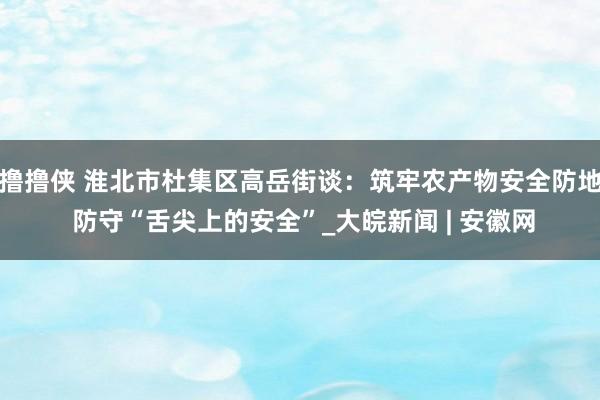 撸撸侠 淮北市杜集区高岳街谈：筑牢农产物安全防地 防守“舌尖上的安全”_大皖新闻 | 安徽网