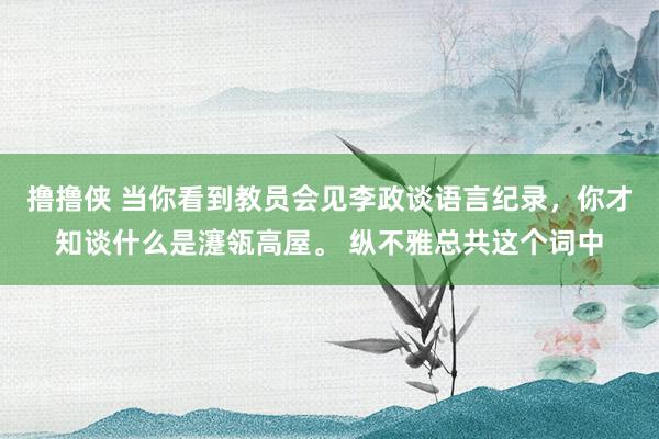 撸撸侠 当你看到教员会见李政谈语言纪录，你才知谈什么是瀽瓴高屋。 纵不雅总共这个词中