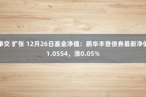 拳交 扩张 12月26日基金净值：鹏华丰登债券最新净值1.0554，涨0.05%