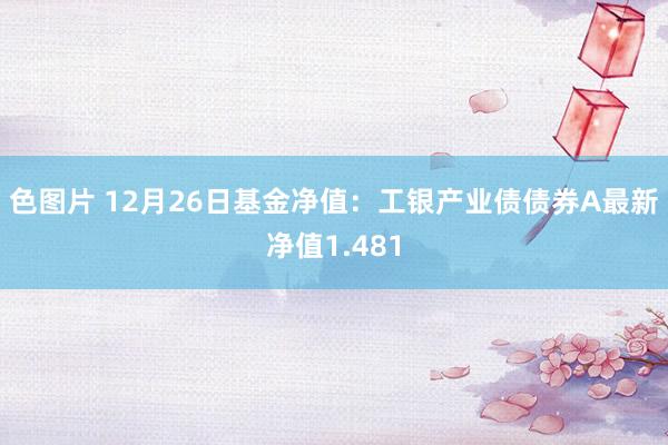 色图片 12月26日基金净值：工银产业债债券A最新净值1.481