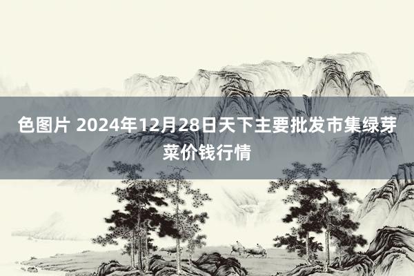 色图片 2024年12月28日天下主要批发市集绿芽菜价钱行情