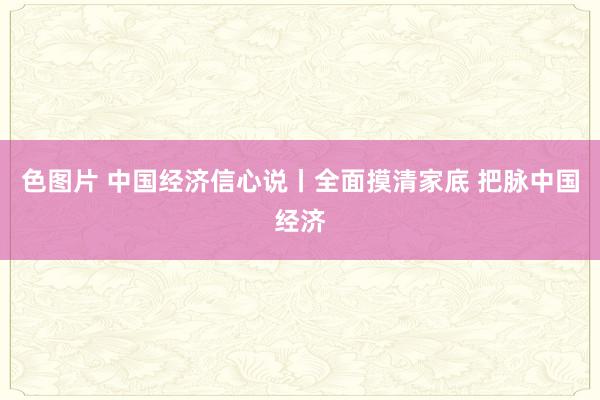 色图片 中国经济信心说丨全面摸清家底 把脉中国经济