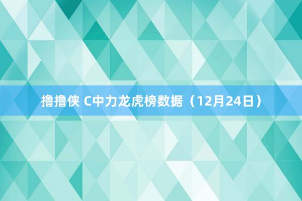 撸撸侠 C中力龙虎榜数据（12月24日）