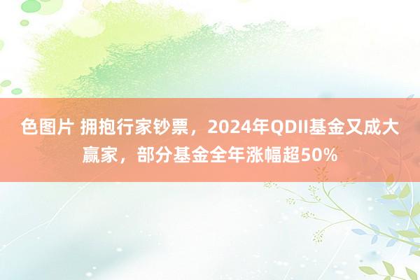 色图片 拥抱行家钞票，2024年QDII基金又成大赢家，部分基金全年涨幅超50%