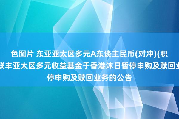 色图片 东亚亚太区多元A东谈主民币(对冲)(积贮): 东亚联丰亚太区多元收益基金于香港沐日暂停申购及赎回业务的公告