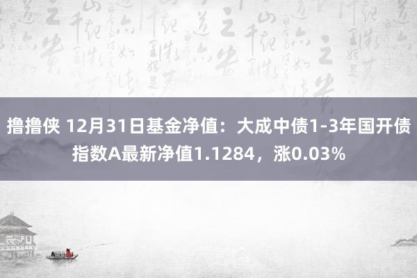 撸撸侠 12月31日基金净值：大成中债1-3年国开债指数A最新净值1.1284，涨0.03%