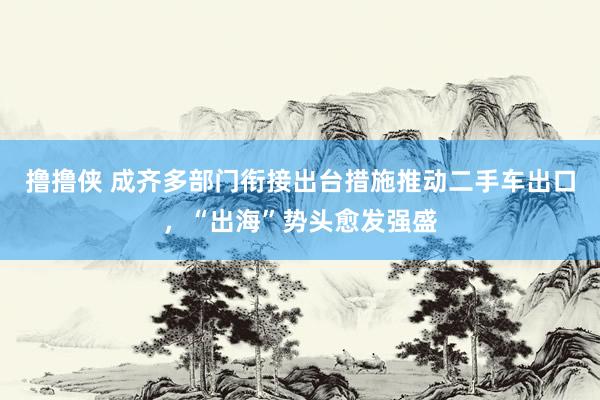 撸撸侠 成齐多部门衔接出台措施推动二手车出口，“出海”势头愈发强盛