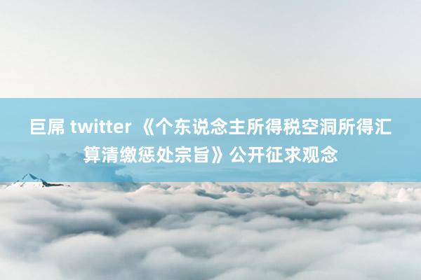 巨屌 twitter 《个东说念主所得税空洞所得汇算清缴惩处宗旨》公开征求观念