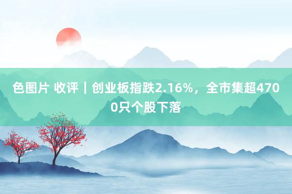 色图片 收评｜创业板指跌2.16%，全市集超4700只个股下落