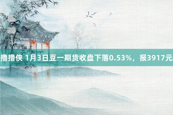 撸撸侠 1月3日豆一期货收盘下落0.53%，报3917元