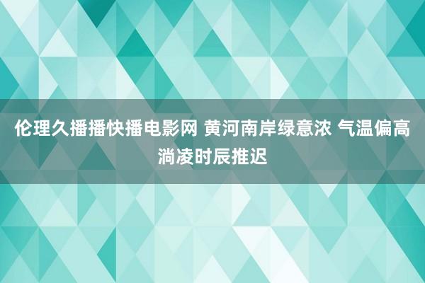 伦理久播播快播电影网 黄河南岸绿意浓 气温偏高淌凌时辰推迟