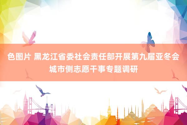 色图片 黑龙江省委社会责任部开展第九届亚冬会城市侧志愿干事专题调研