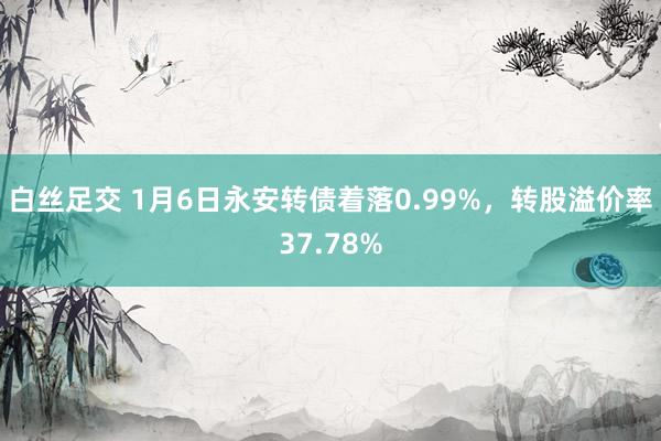 白丝足交 1月6日永安转债着落0.99%，转股溢价率37.78%