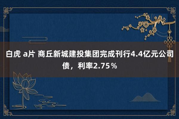 白虎 a片 商丘新城建投集团完成刊行4.4亿元公司债，利率2.75％