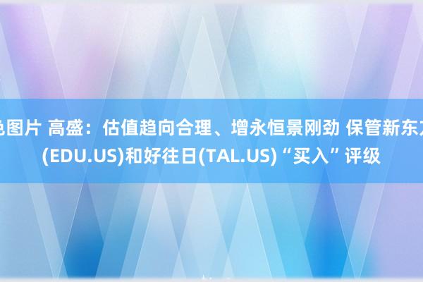 色图片 高盛：估值趋向合理、增永恒景刚劲 保管新东方(EDU.US)和好往日(TAL.US)“买入”评级