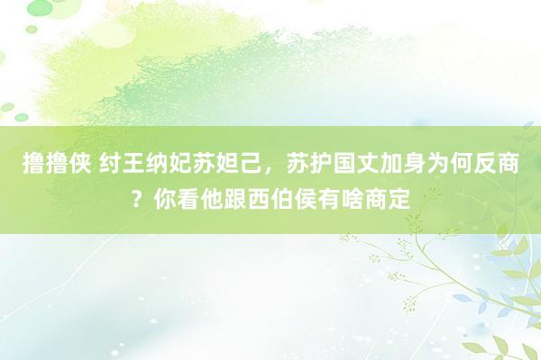 撸撸侠 纣王纳妃苏妲己，苏护国丈加身为何反商？你看他跟西伯侯有啥商定