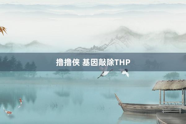 撸撸侠 基因敲除THP