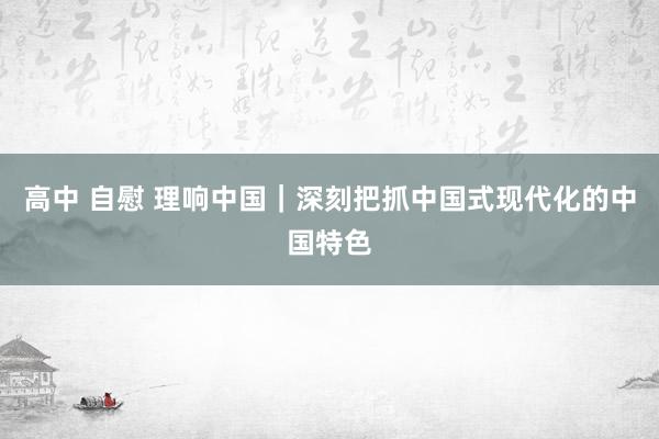 高中 自慰 理响中国｜深刻把抓中国式现代化的中国特色