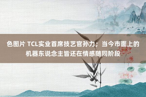 色图片 TCL实业首席技艺官孙力；当今市面上的机器东说念主皆还在情感随同阶段