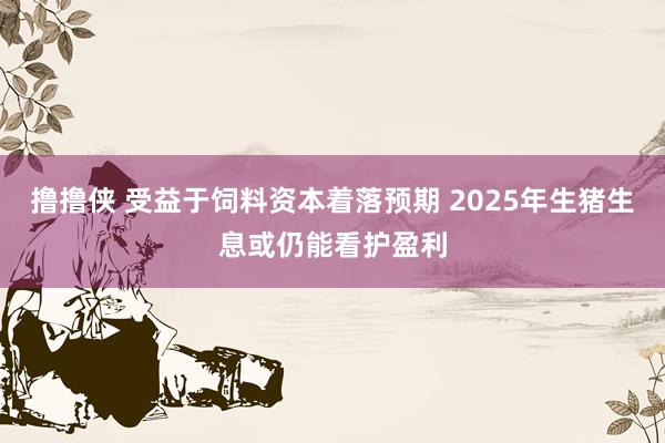 撸撸侠 受益于饲料资本着落预期 2025年生猪生息或仍能看护盈利