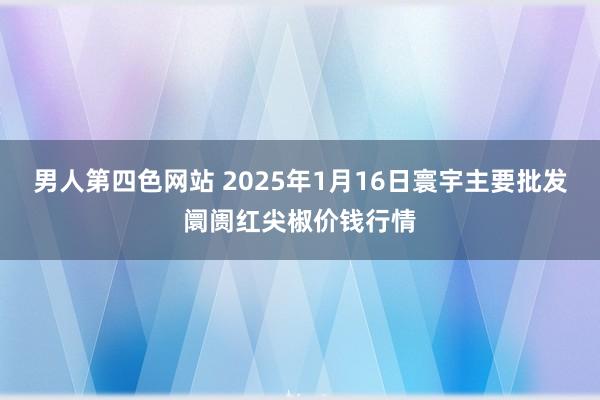 男人第四色网站 2025年1月16日寰宇主要批发阛阓红尖椒价钱行情