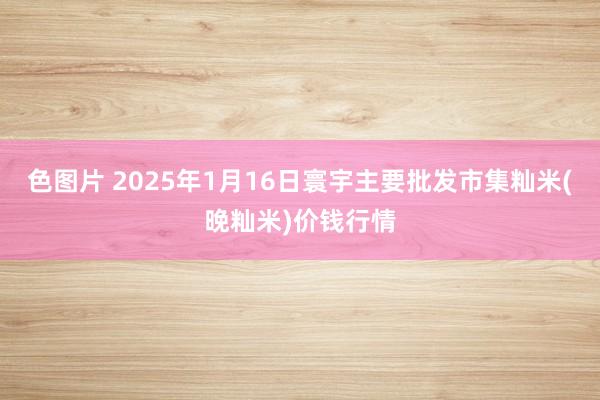 色图片 2025年1月16日寰宇主要批发市集籼米(晚籼米)价钱行情