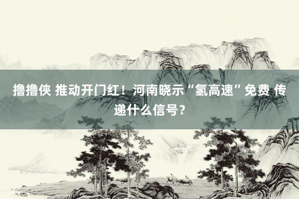 撸撸侠 推动开门红！河南晓示“氢高速”免费 传递什么信号？