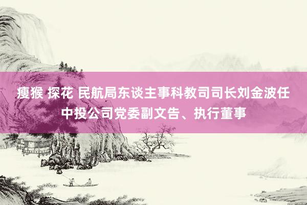 瘦猴 探花 民航局东谈主事科教司司长刘金波任中投公司党委副文告、执行董事